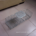 Collapsible Bird Cage Live Coyote Cage Trap